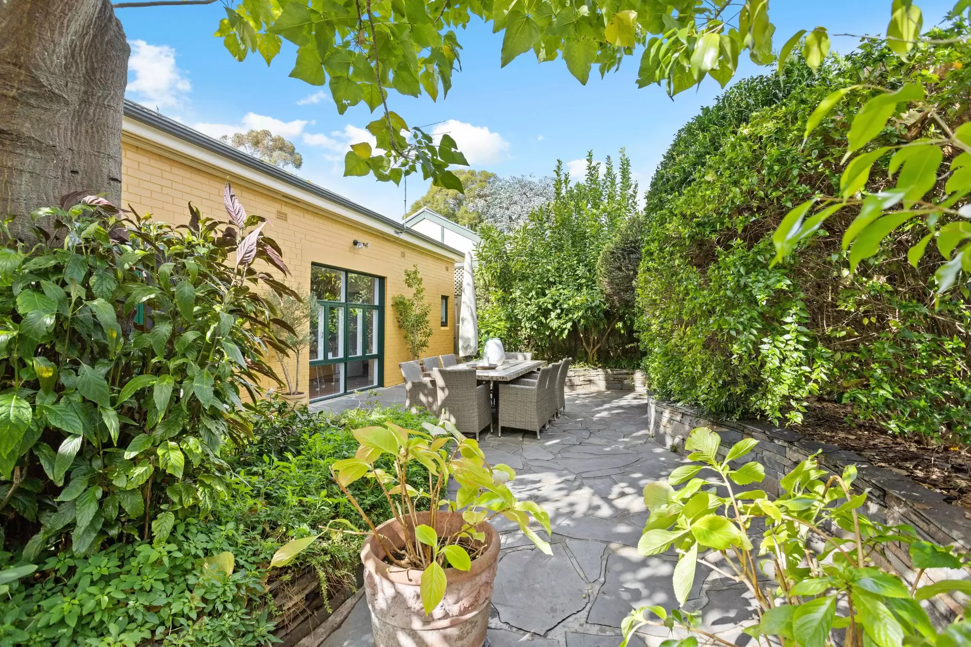 48 Maesbury Street, Kensington Sold by Booth Real Estate - image 1