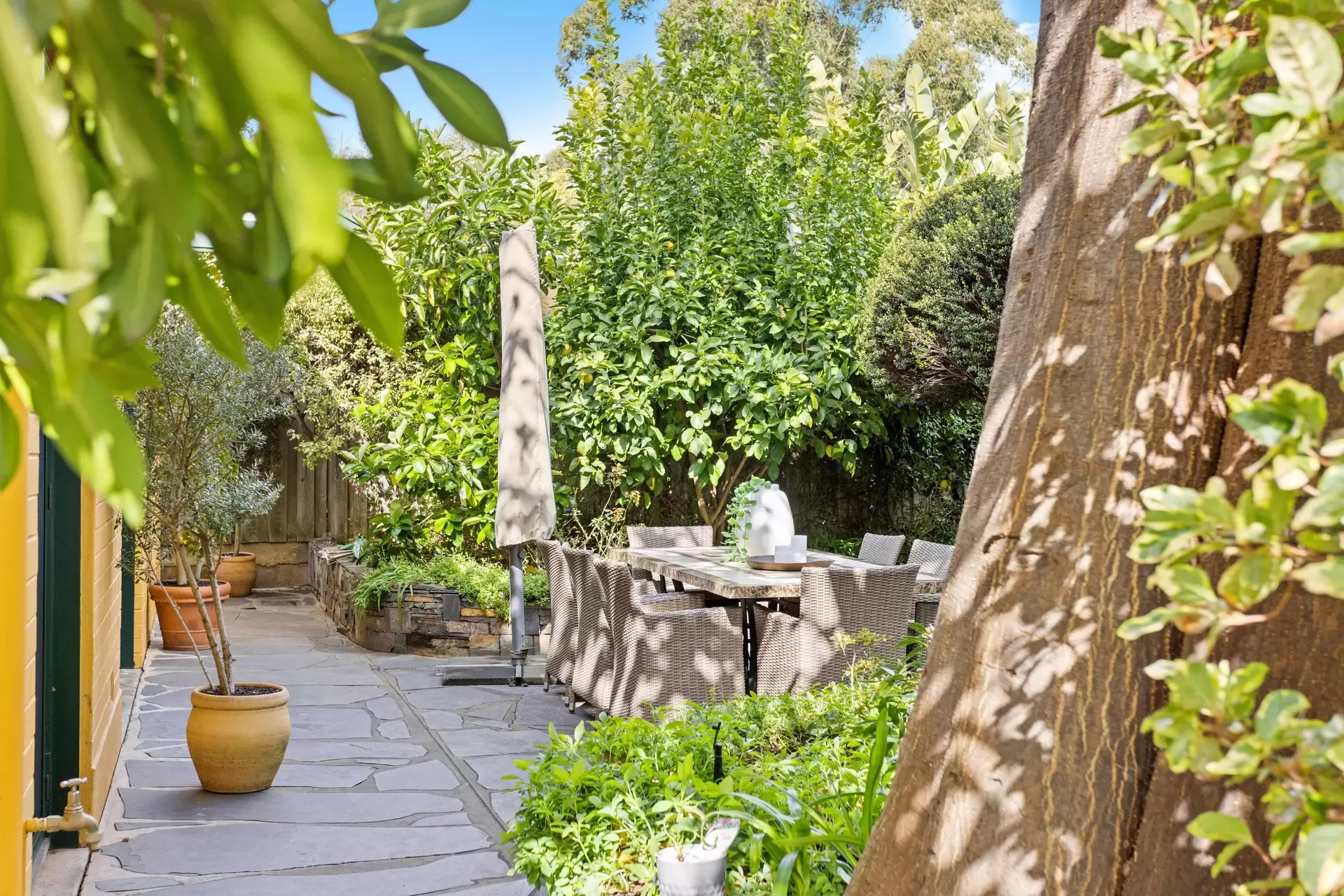 48 Maesbury Street, Kensington Sold by Booth Real Estate - image 1