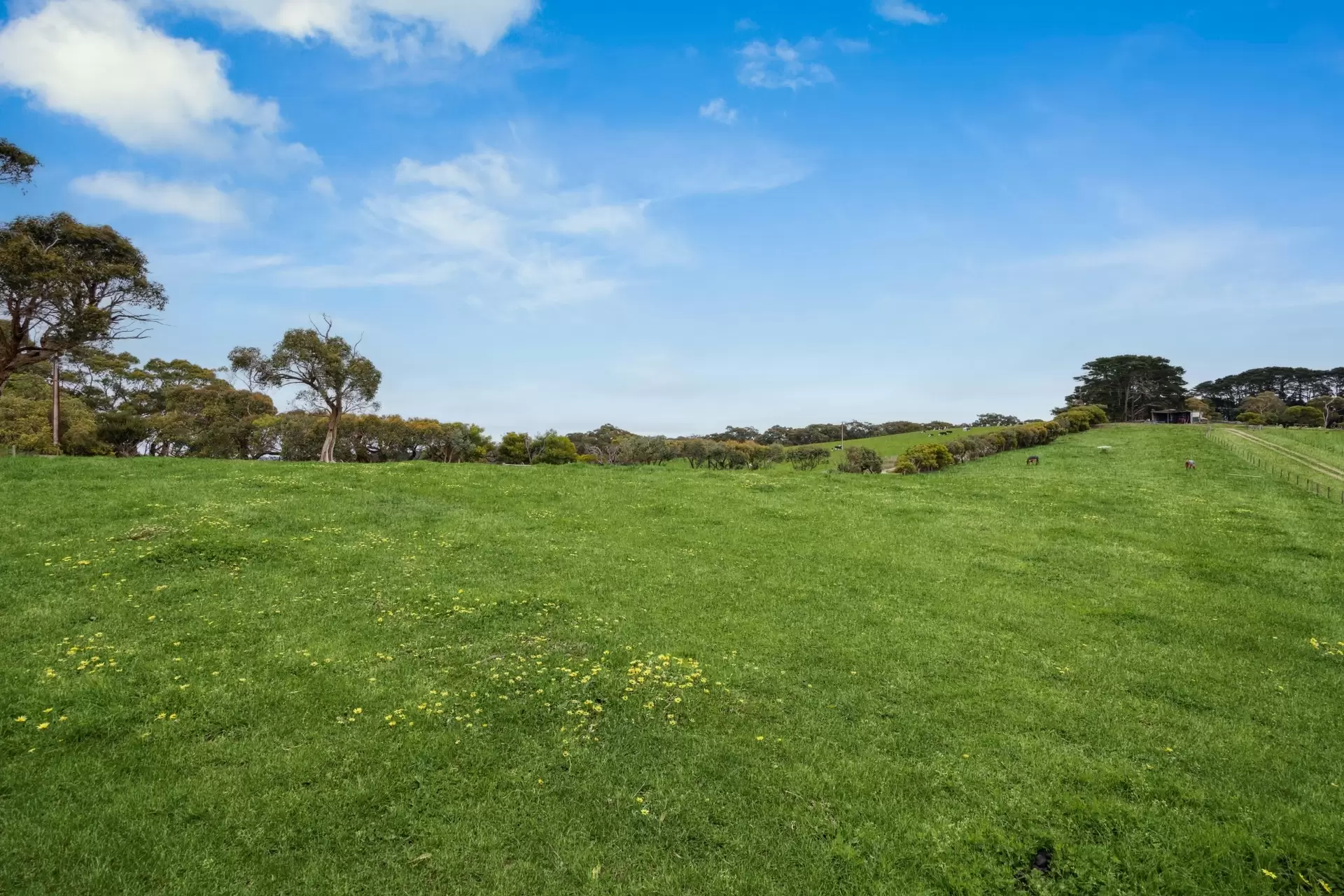 143 Bollaparudda Road, Willow Creek Sold by Booth Real Estate - image 1