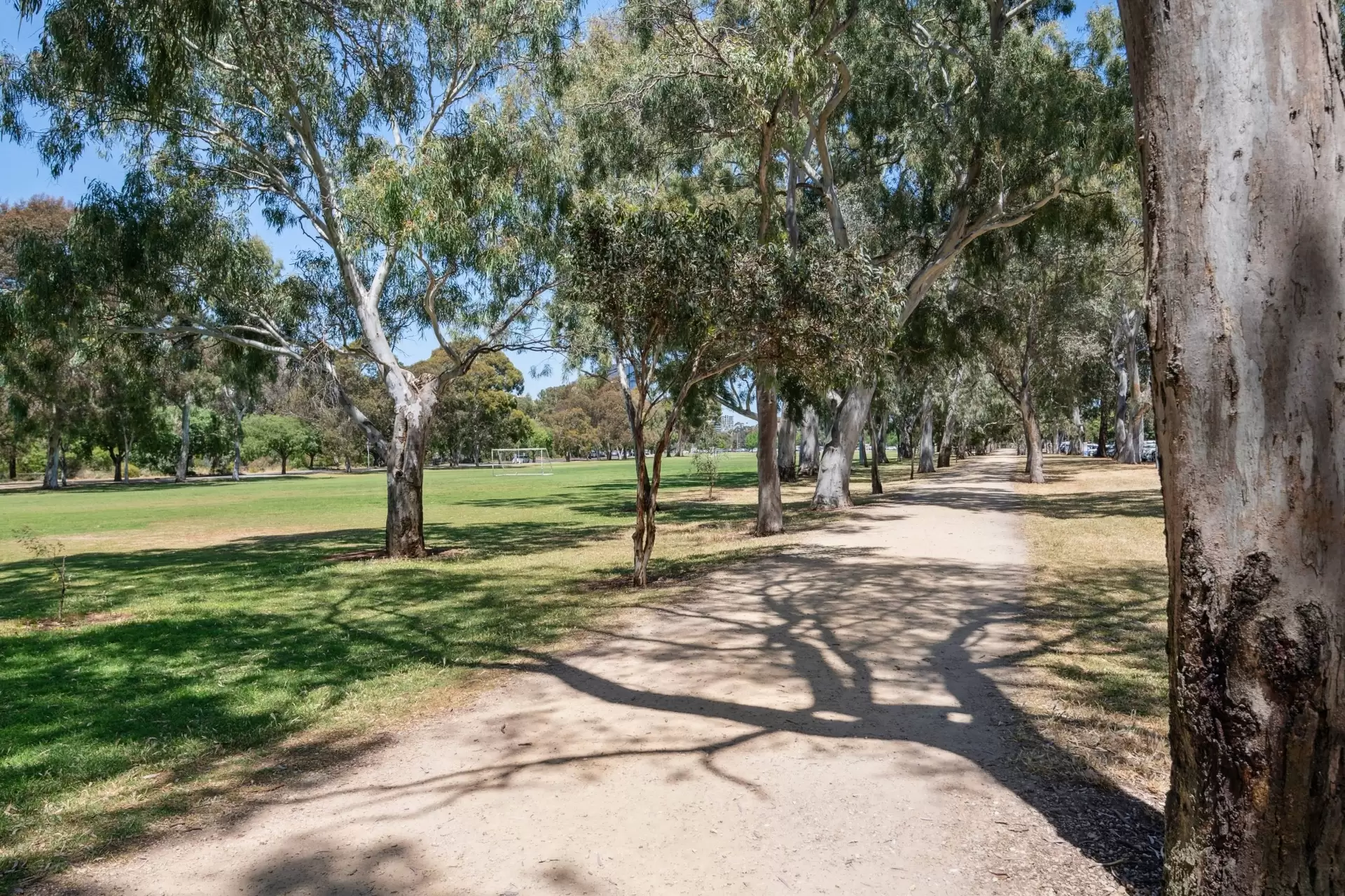 8A/97 MacKinnon Parade, North Adelaide Sold by Booth Real Estate - image 1
