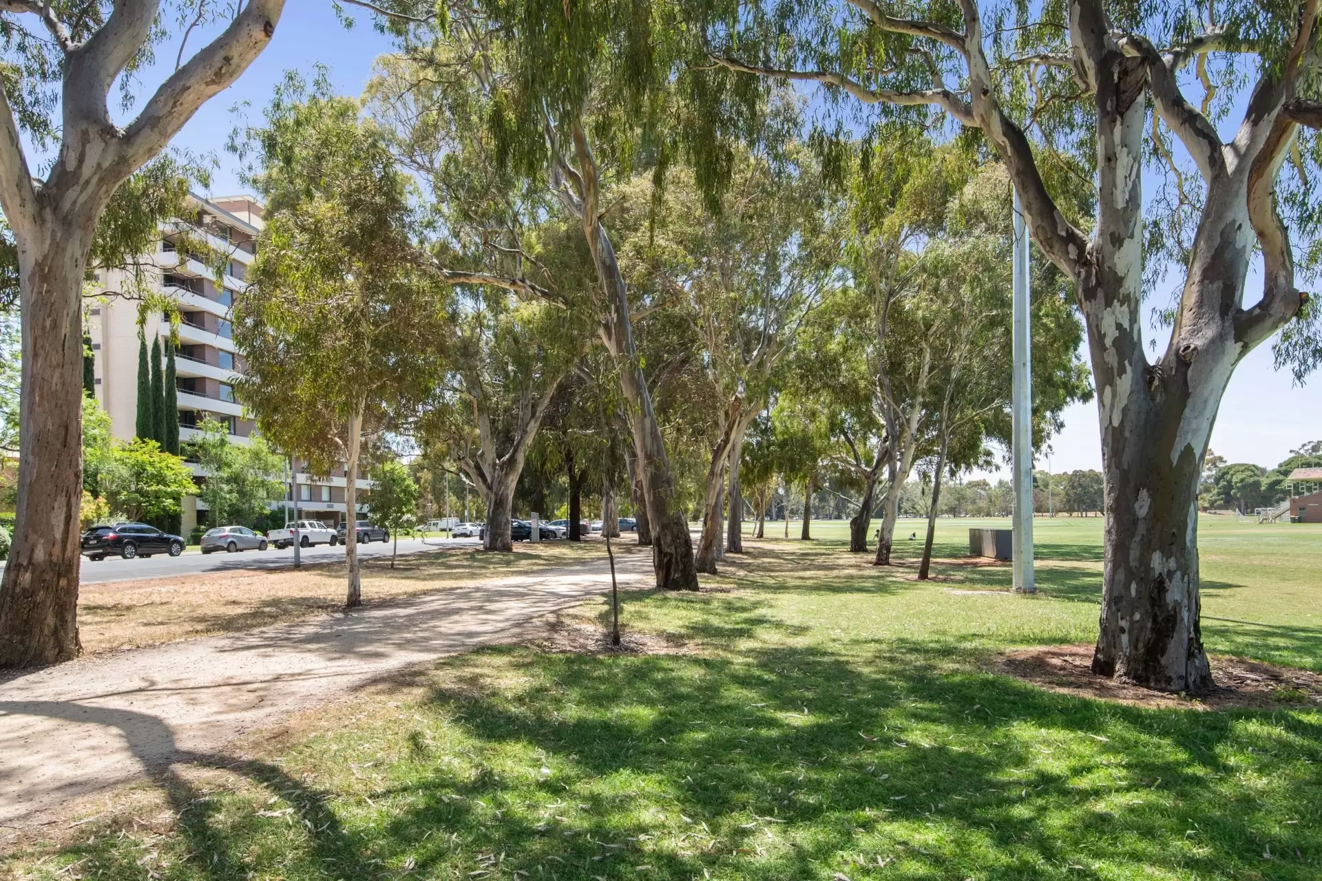 8A/97 MacKinnon Parade, North Adelaide Sold by Booth Real Estate - image 1