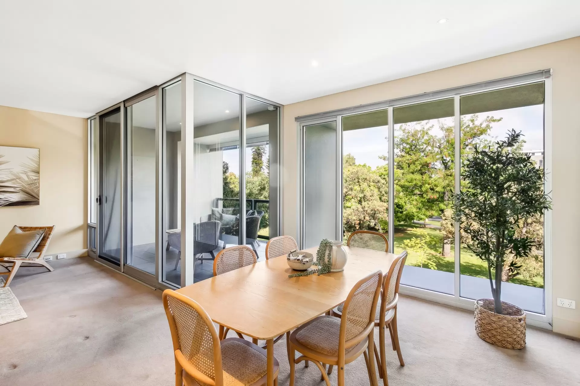 8D/8-10 Hurtle Square, Adelaide Sold by Booth Real Estate - image 1