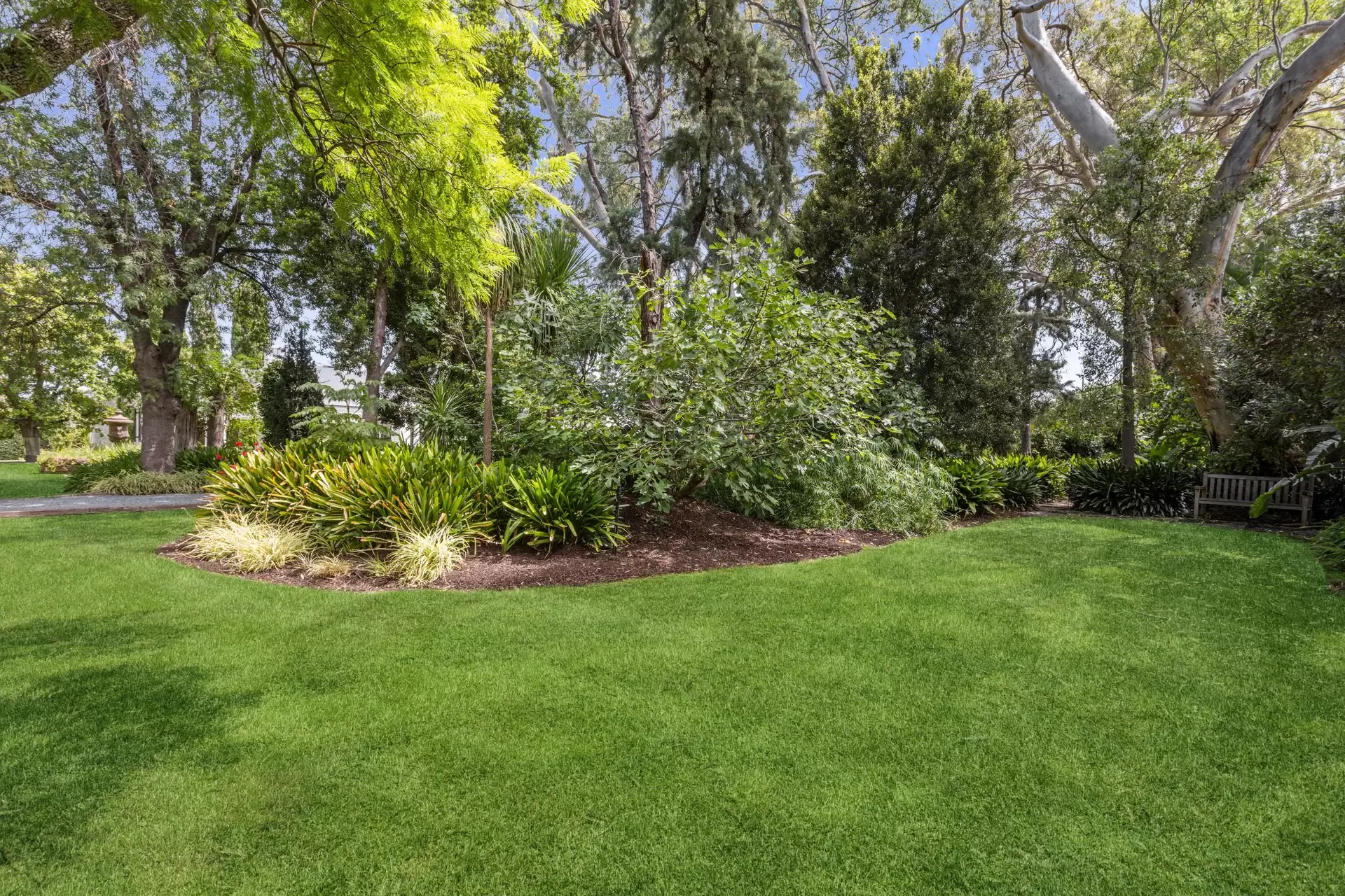 39 Rochester Street, Leabrook Sold by Booth Real Estate - image 1