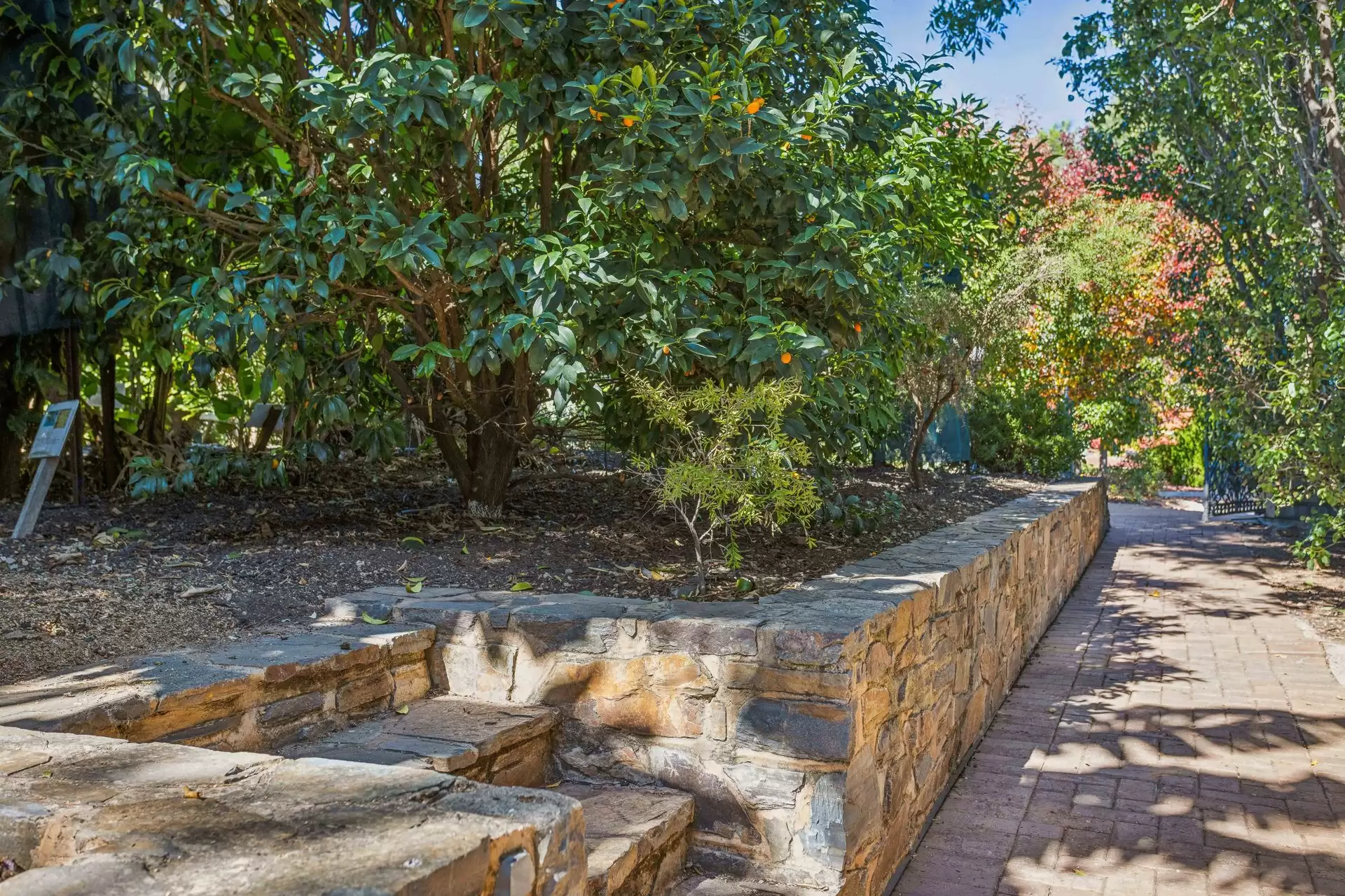 2 Angove Court, Rosslyn Park Sold by Booth Real Estate - image 1