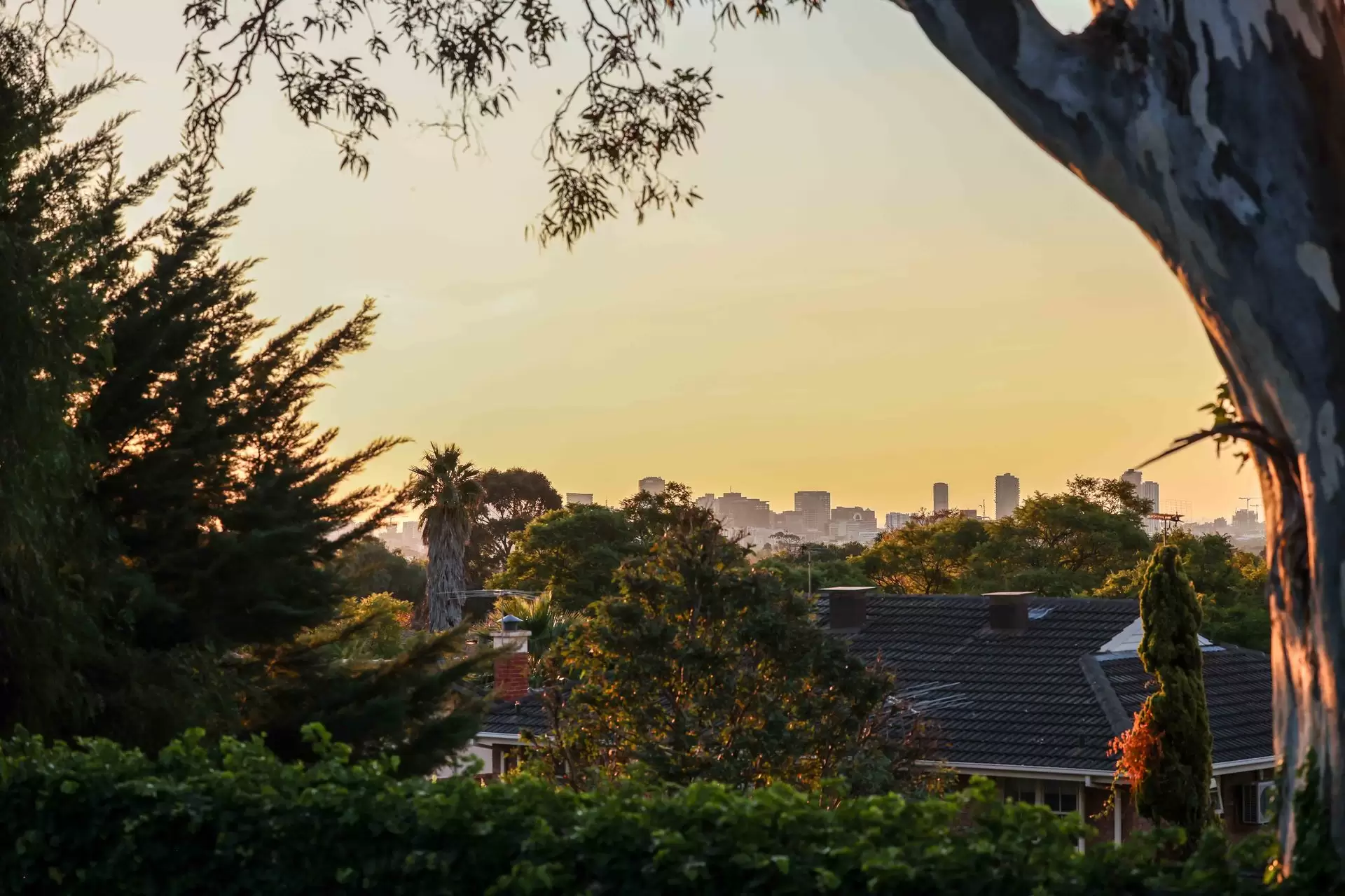 1A Ashley Avenue, Glen Osmond Sold by Booth Real Estate - image 1