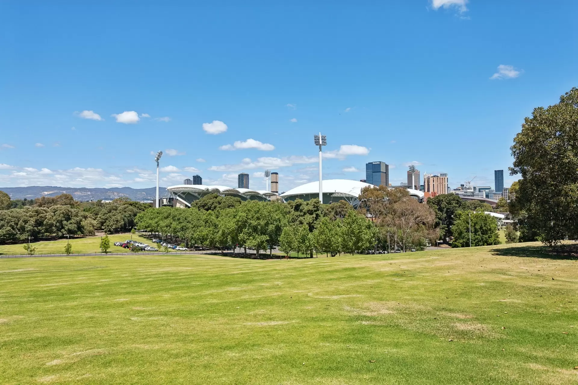 15/21 Jeffcott Street, North Adelaide Sold by Booth Real Estate - image 1