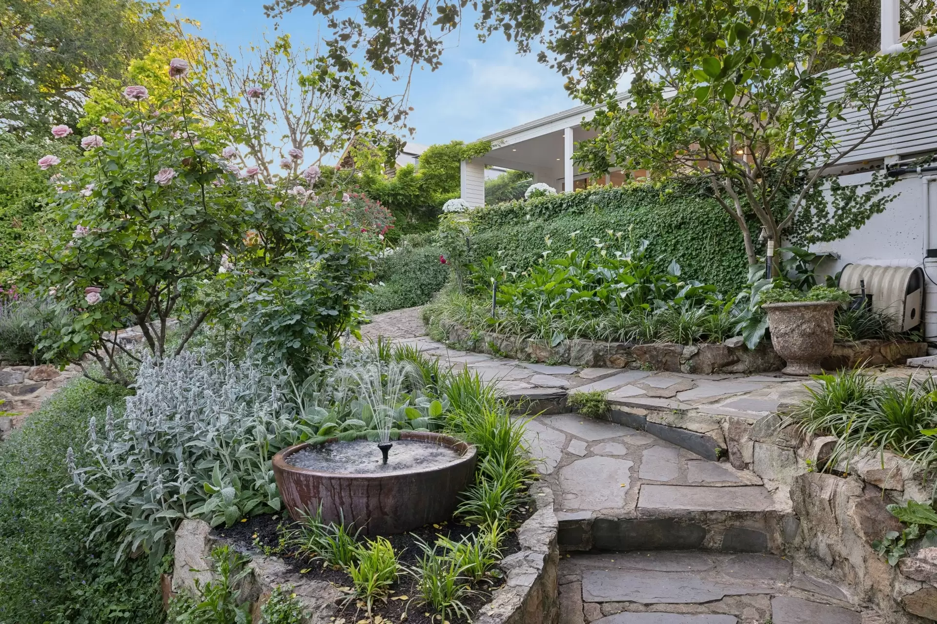 15 Trevelyan Street, Wayville Sold by Booth Real Estate - image 1