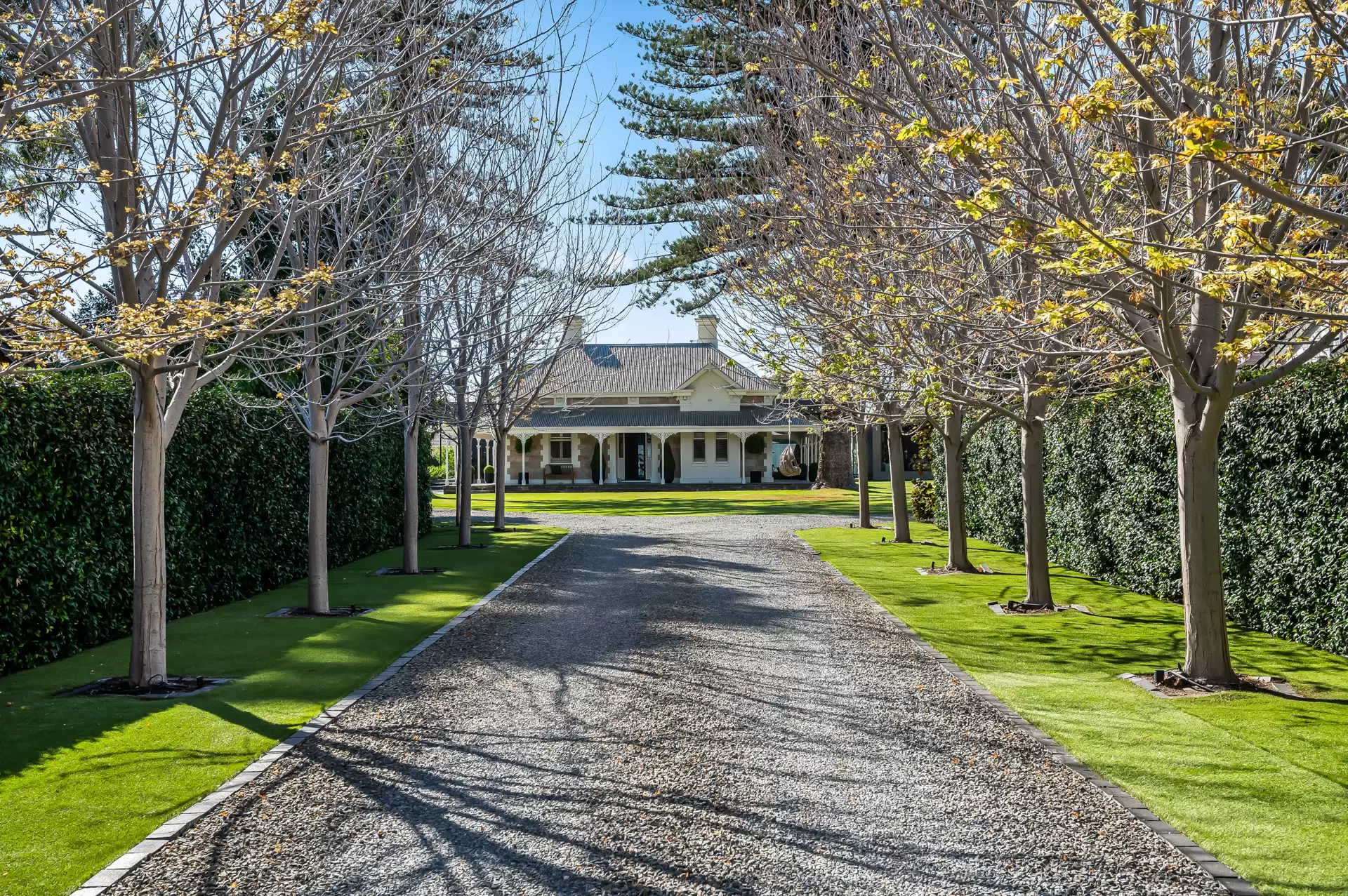 12 The Grove, Lower Mitcham Sold by Booth Real Estate - image 1