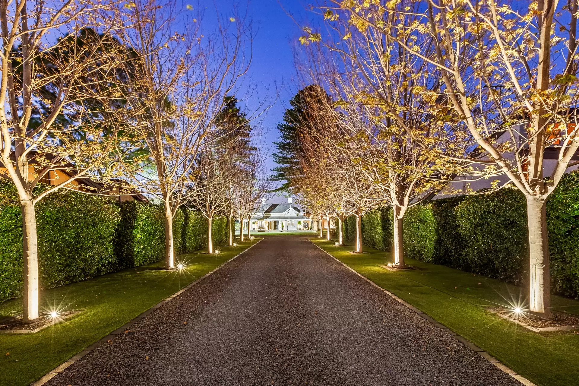 12 The Grove, Lower Mitcham Sold by Booth Real Estate - image 1