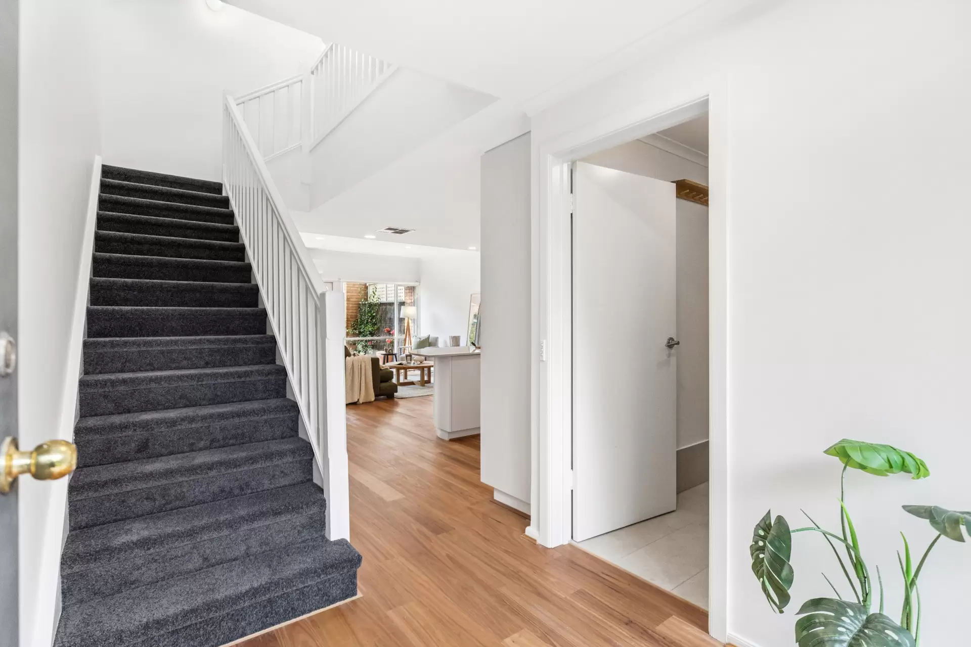 20 East Pallant Street, North Adelaide Sold by Booth Real Estate - image 1