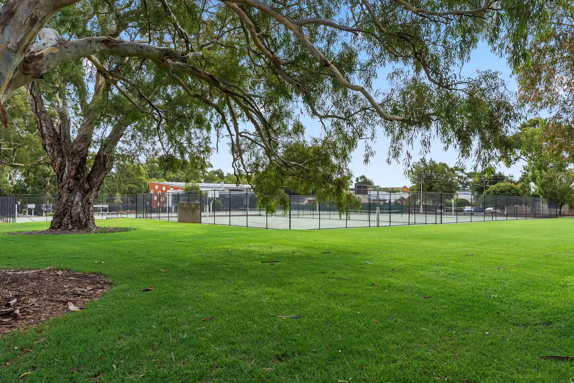 22 Hackett Terrace, Marryatville Sold by Booth Real Estate - image 1