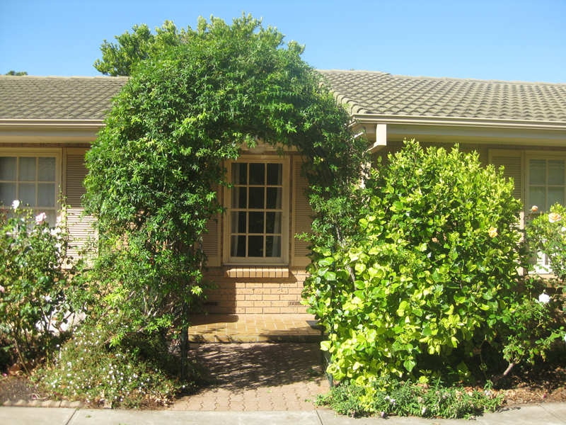 3/274 Ward Street, North Adelaide Sold by Booth Real Estate - image 1