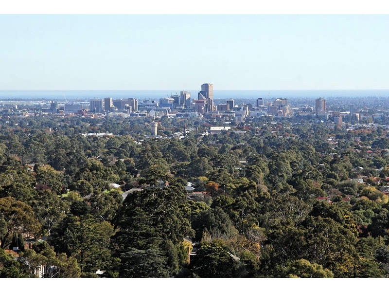 594 The Parade, Auldana Sold by Booth Real Estate - image 1