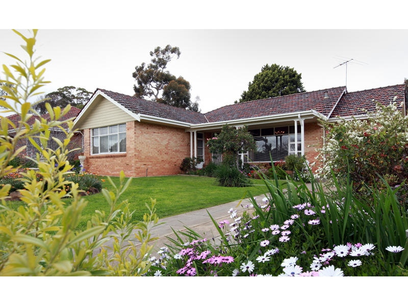 22 Mariner Street, Linden Park Sold by Booth Real Estate - image 1