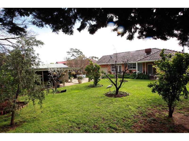 22 Mariner Street, Linden Park Sold by Booth Real Estate - image 1