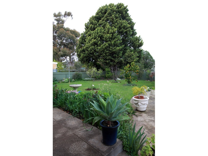 22 Mariner Street, Linden Park Sold by Booth Real Estate - image 1