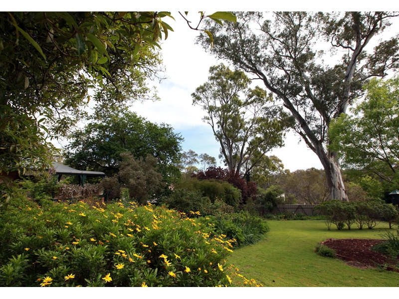 25 Shannon Crescent, Coromandel Valley Sold by Booth Real Estate - image 1