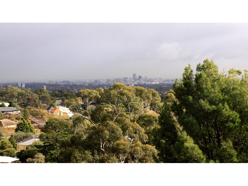49 Wyatt Road, Burnside Sold by Booth Real Estate - image 1