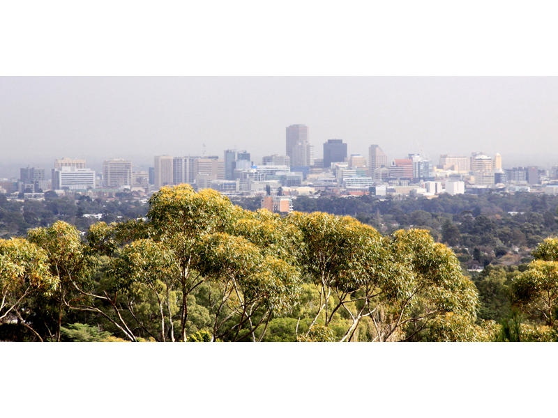 49 Wyatt Road, Burnside Sold by Booth Real Estate - image 1