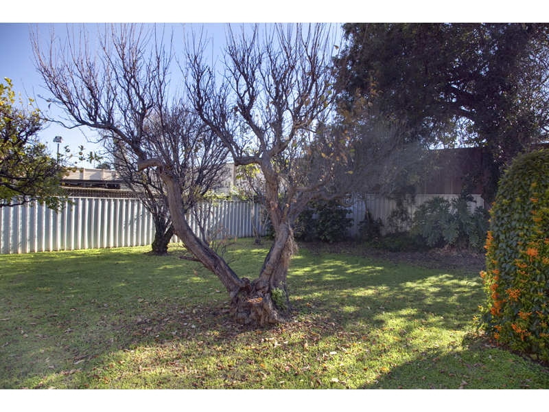 5 Dutton Terrace, Medindie Sold by Booth Real Estate - image 1