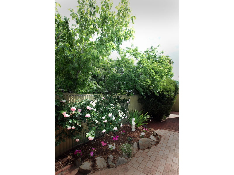 1 Blanche Avenue, Magill Sold by Booth Real Estate - image 1