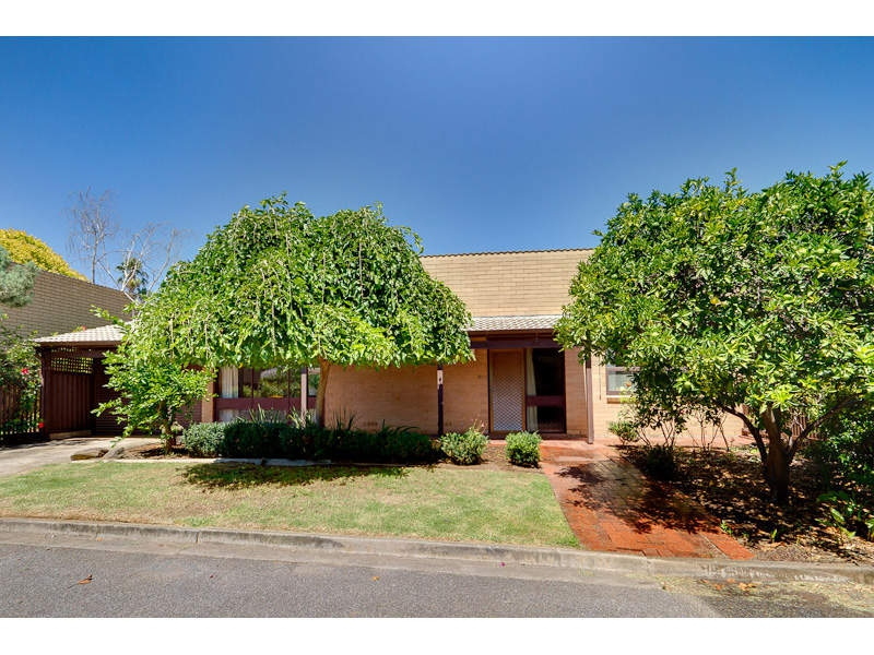 3/86 Queen Street, Norwood Sold by Booth Real Estate - image 1
