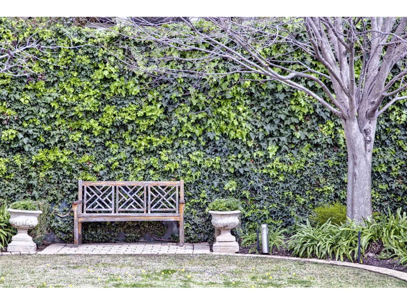 26 Wootoona Terrace, St Georges Sold by Booth Real Estate - image 1