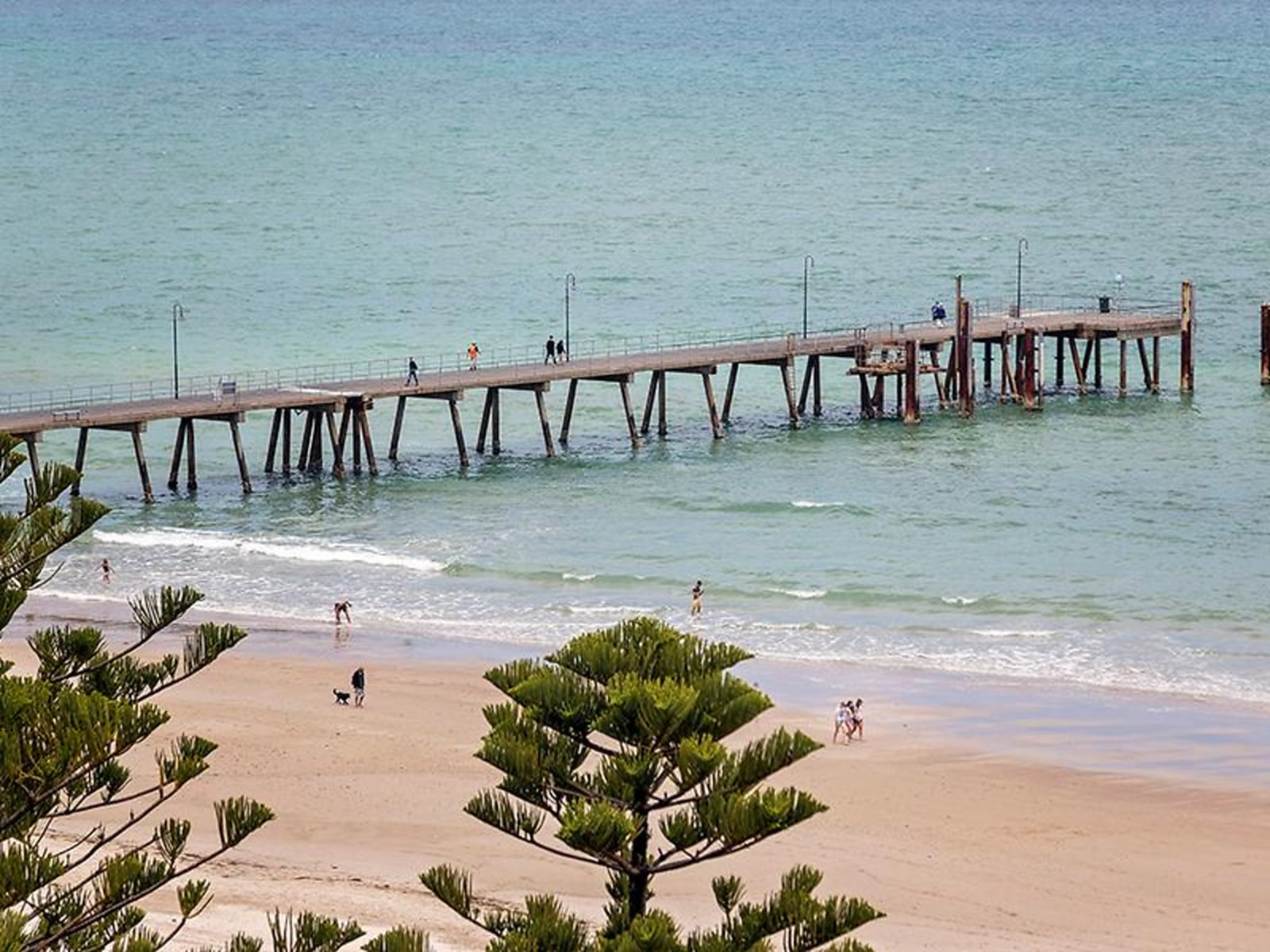 907/19 Holdfast Promenade, Glenelg Sold by Booth Real Estate - image 1
