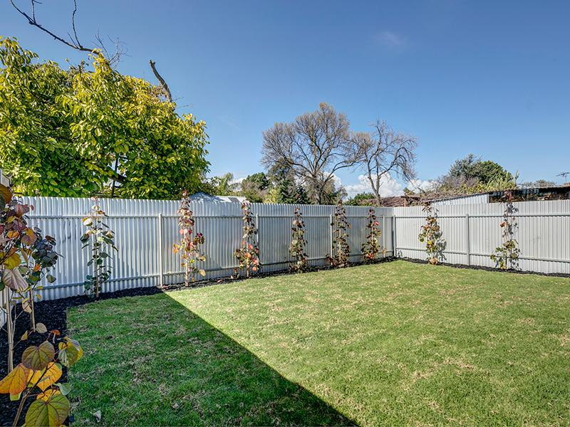 41 D'ERLANGER AVENUE, Collinswood Sold by Booth Real Estate - image 1