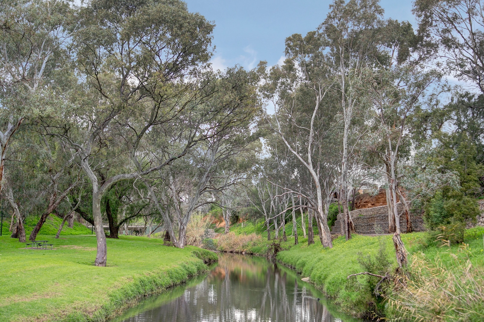 19 Player Avenue, St Peters Sold by Booth Real Estate - image 1