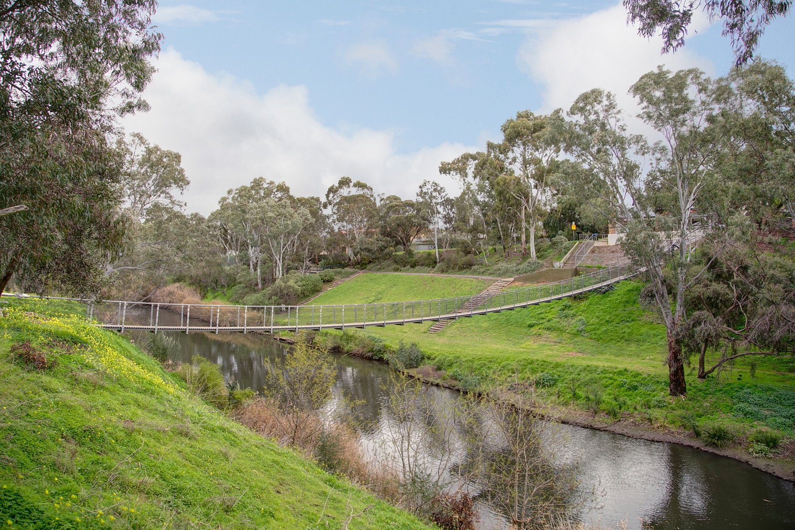 19 Player Avenue, St Peters Sold by Booth Real Estate - image 1