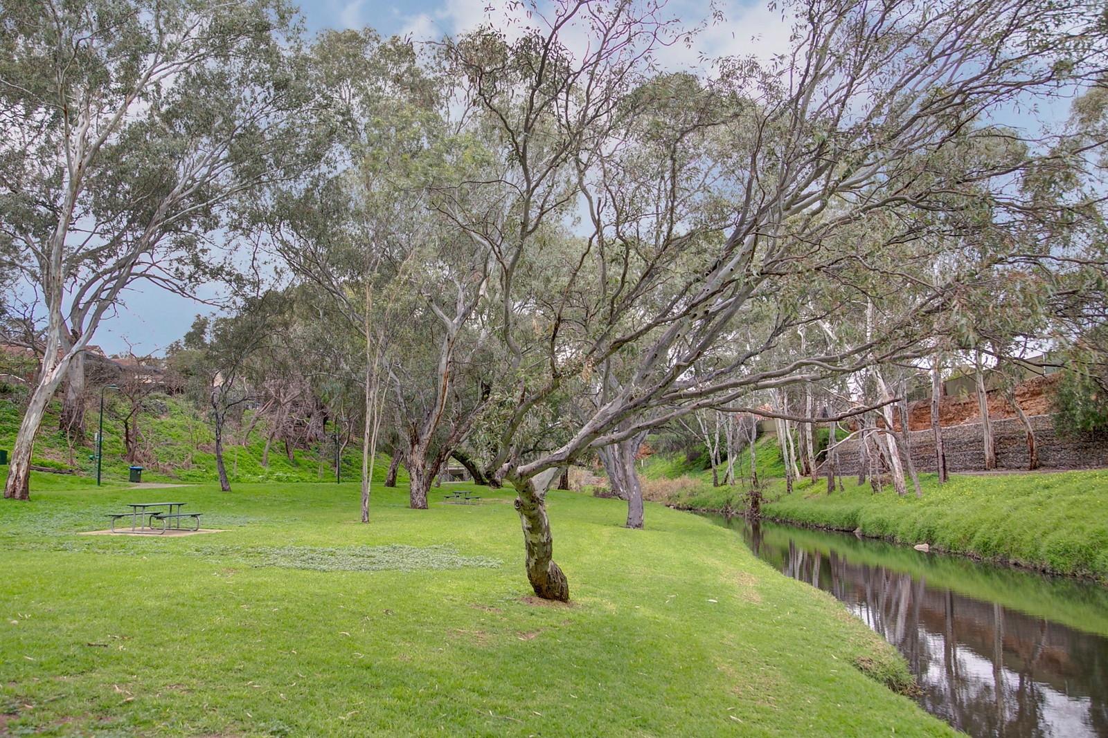 19 Player Avenue, St Peters Sold by Booth Real Estate - image 1