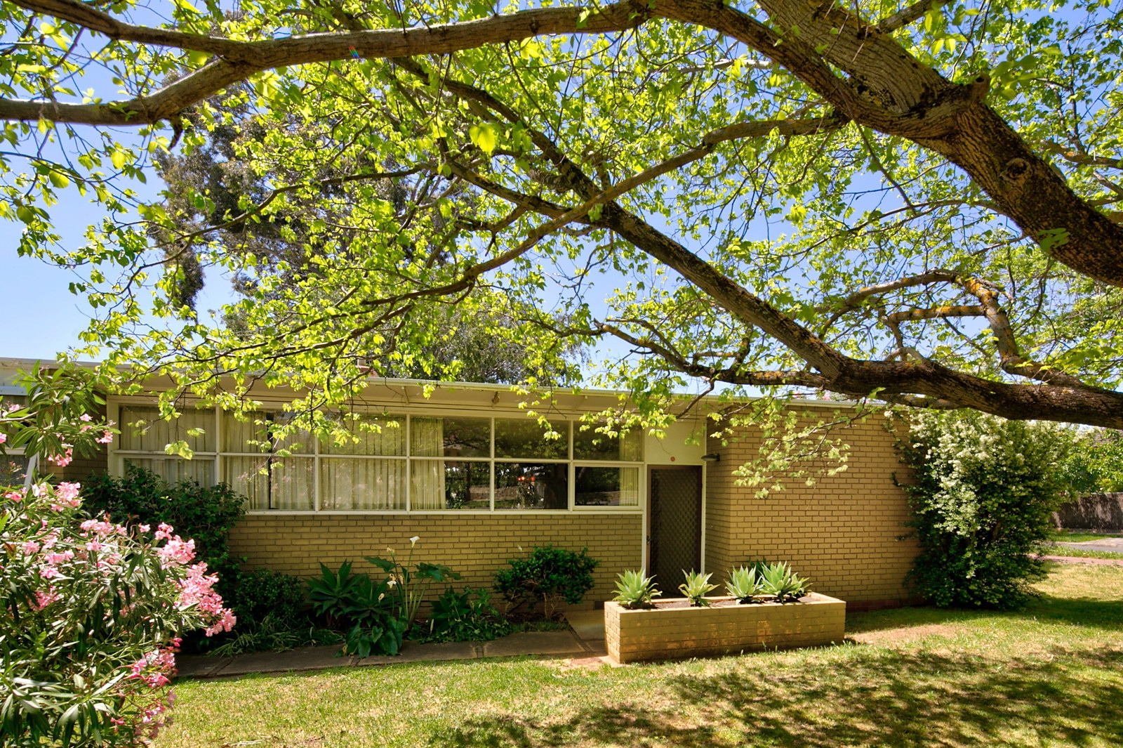 13 Cooper Place, Hazelwood Park Sold by Booth Real Estate - image 1
