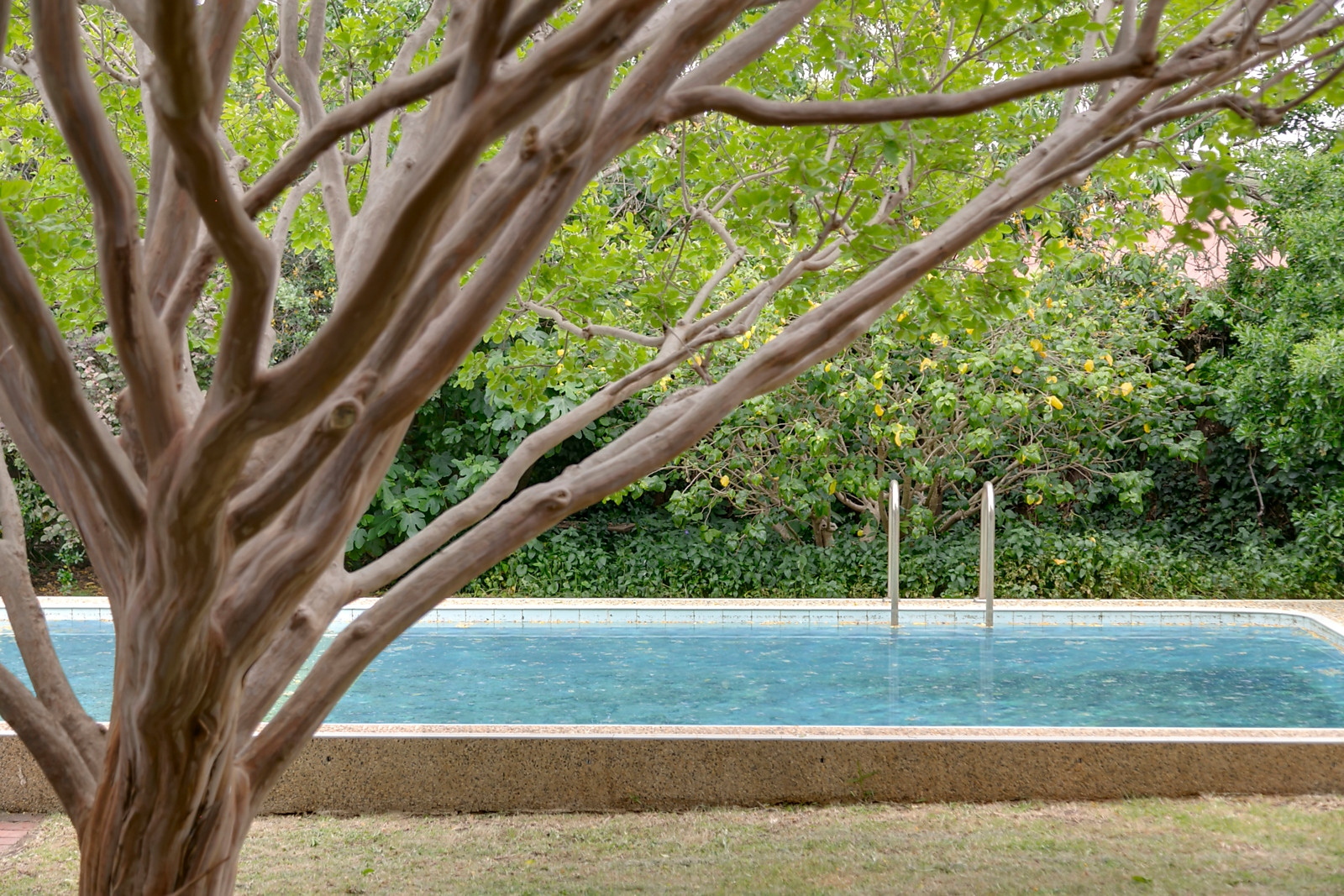 83 Hewitt Avenue, Toorak Gardens Sold by Booth Real Estate - image 1