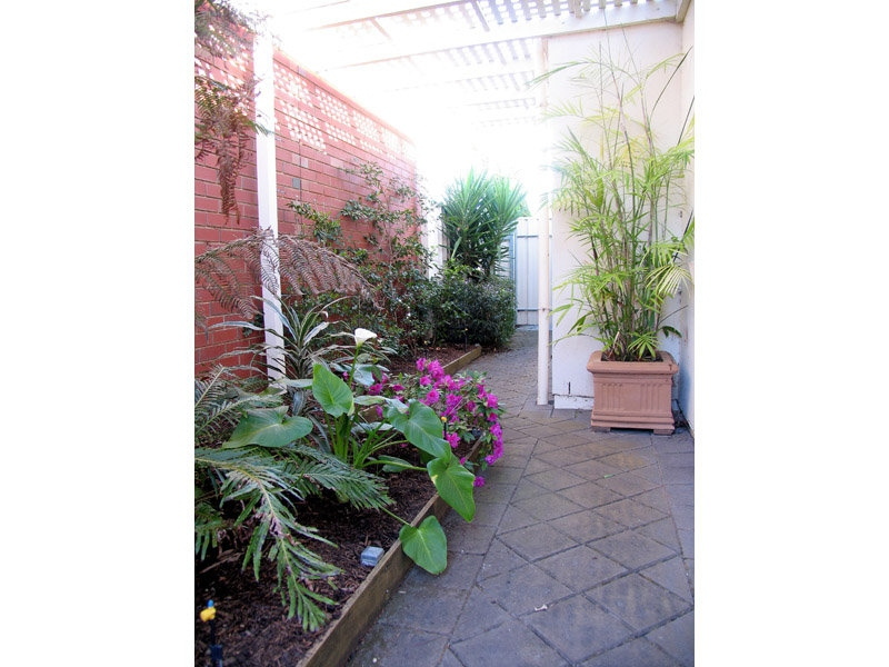 4 Emerson Court, Glenside Sold by Booth Real Estate - image 1
