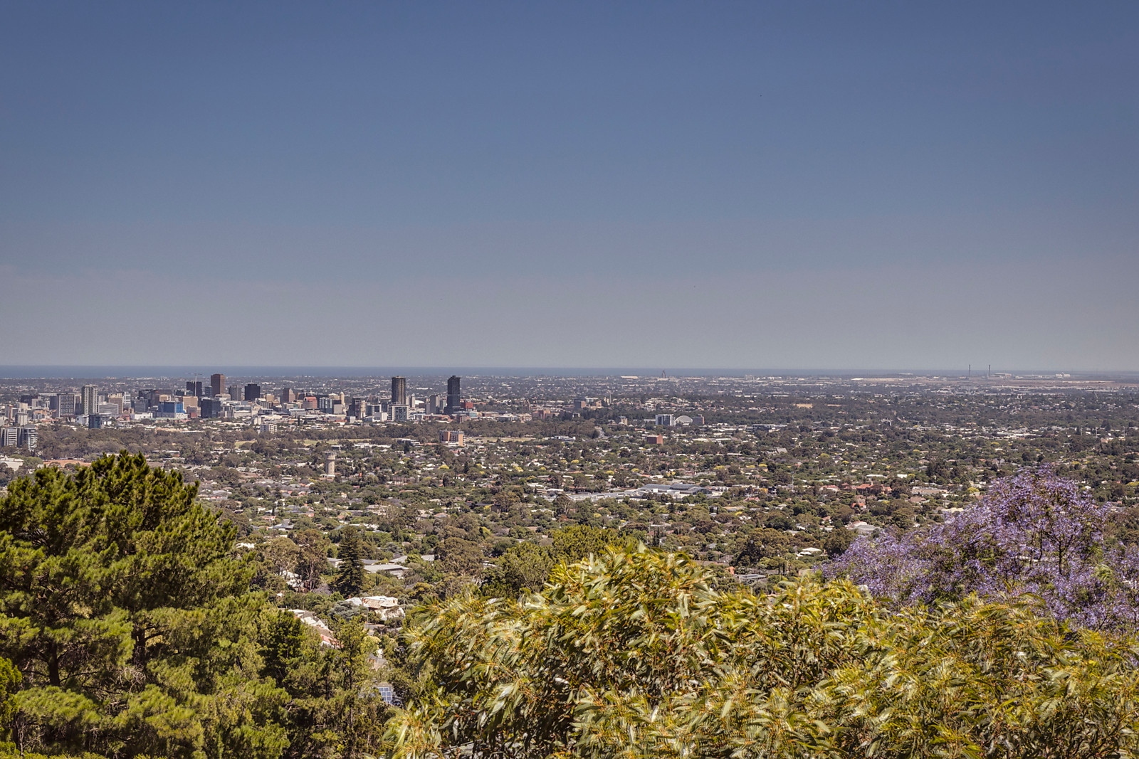 5 Tregenza Close, Beaumont Sold by Booth Real Estate - image 1