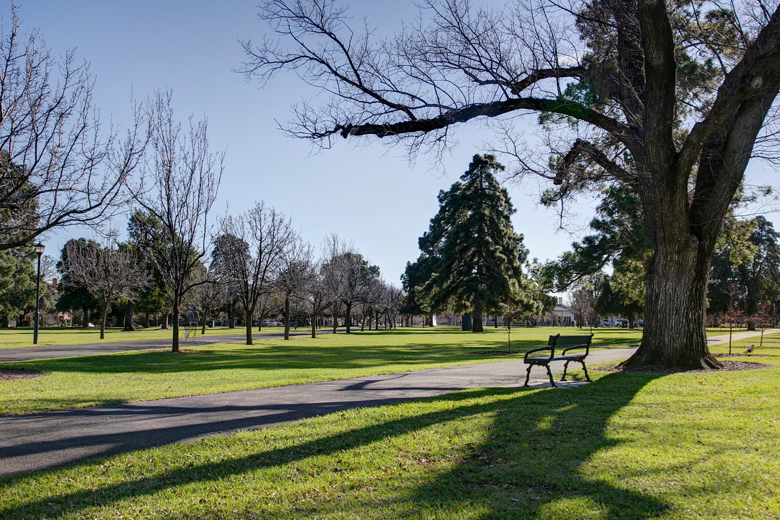 76 Wellington Square, North Adelaide Sold by Booth Real Estate - image 1