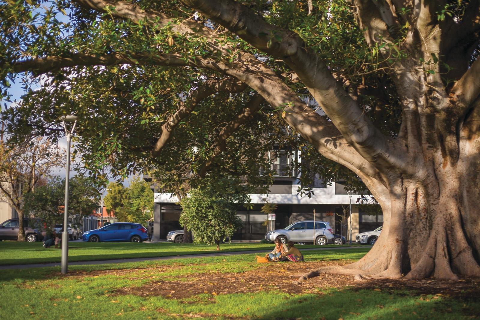 502/36 Hurtle Square, Adelaide Sold by Booth Real Estate - image 1