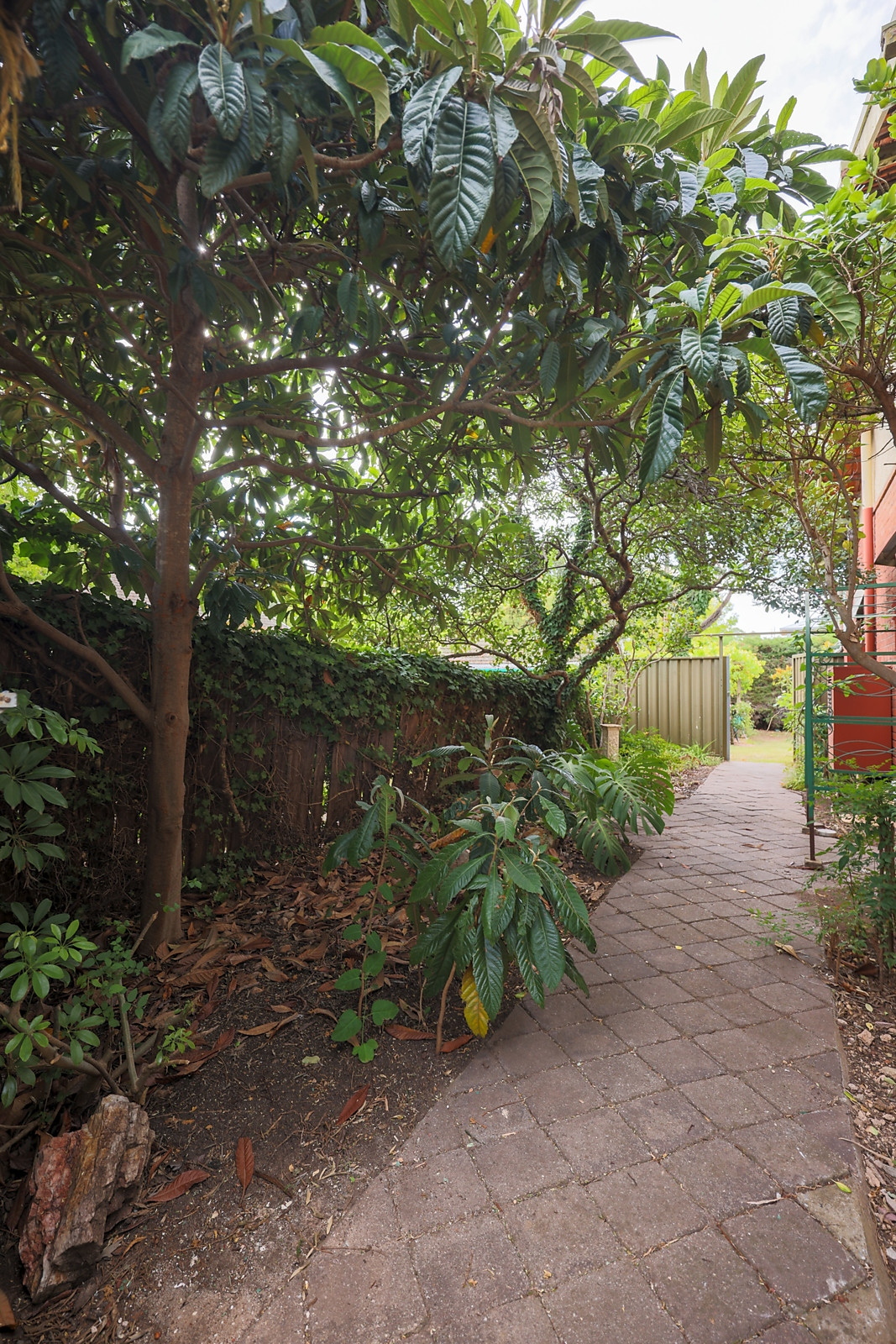 2 Rothbury Avenue, Tusmore Sold by Booth Real Estate - image 1