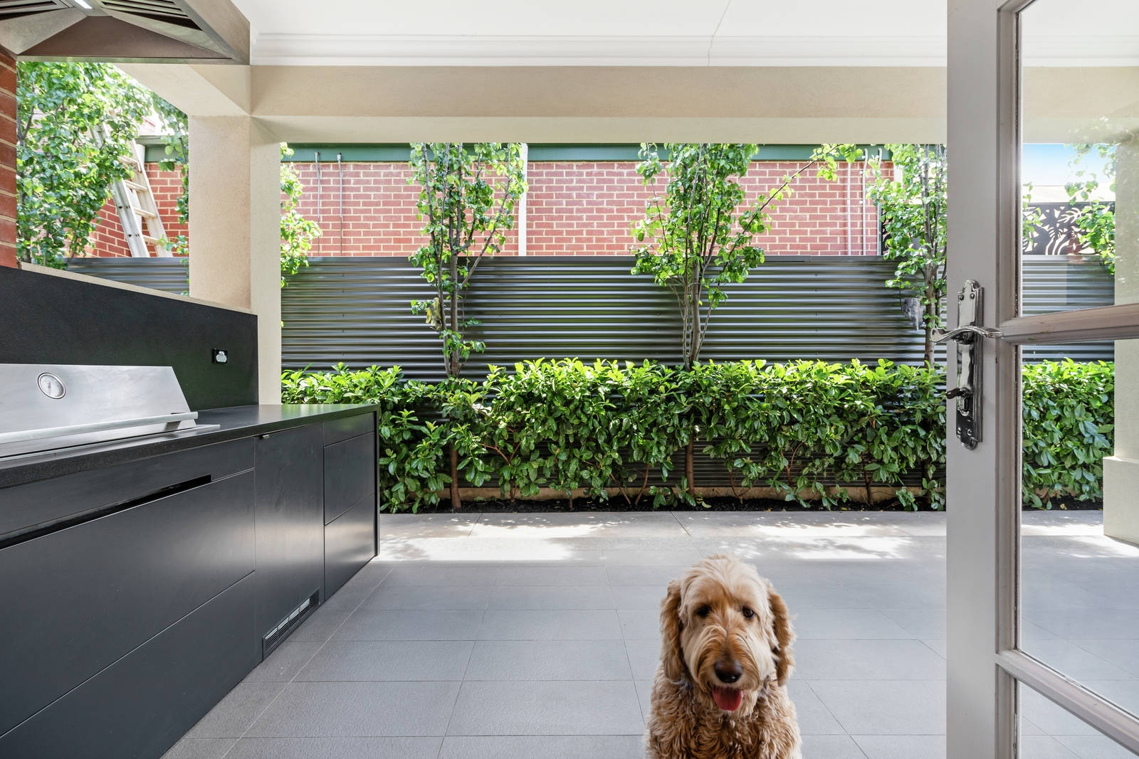 18A Northcote Terrace, Gilberton Sold by Booth Real Estate - image 1
