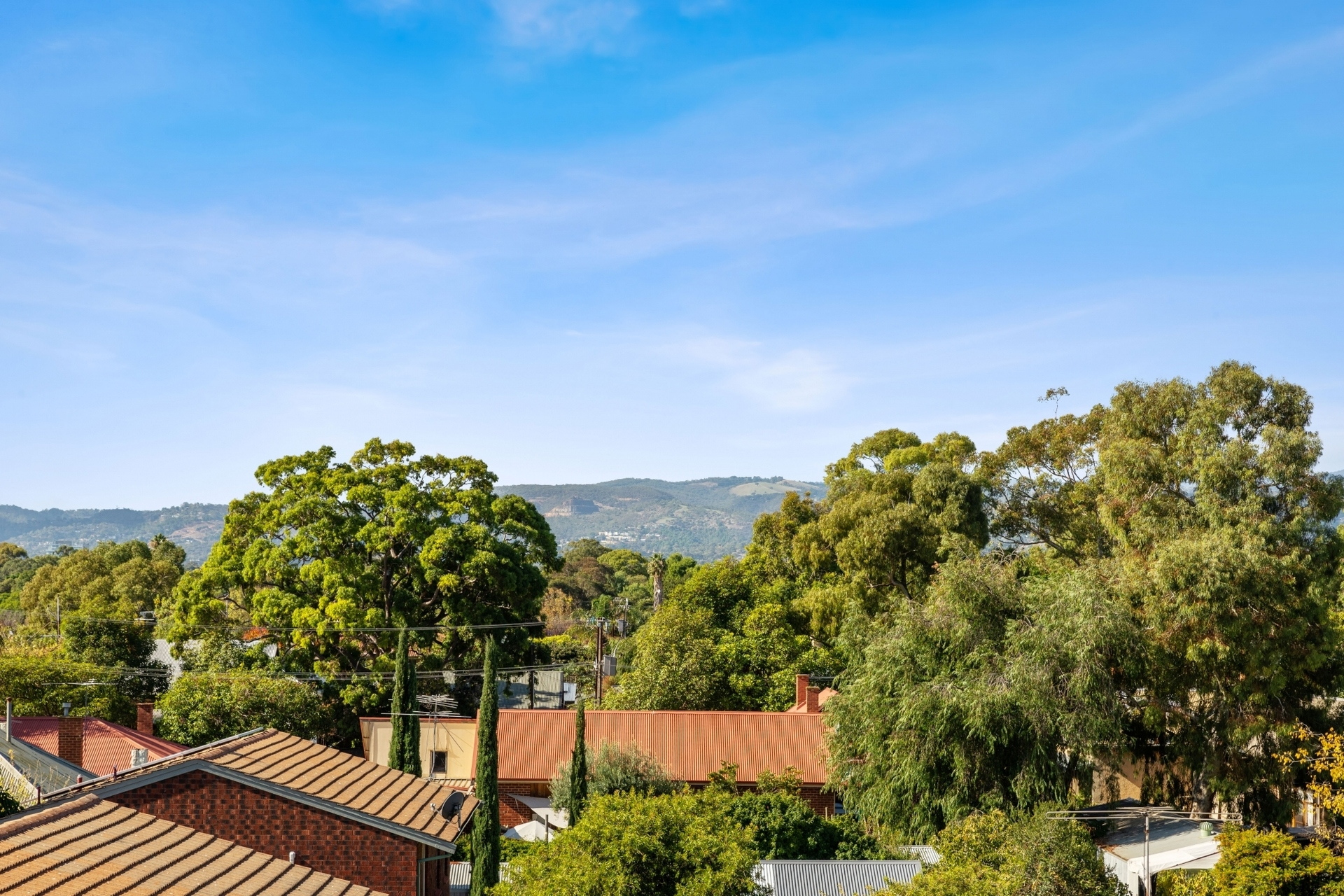 31/49 Leader Street, Goodwood Sold by Booth Real Estate - image 1