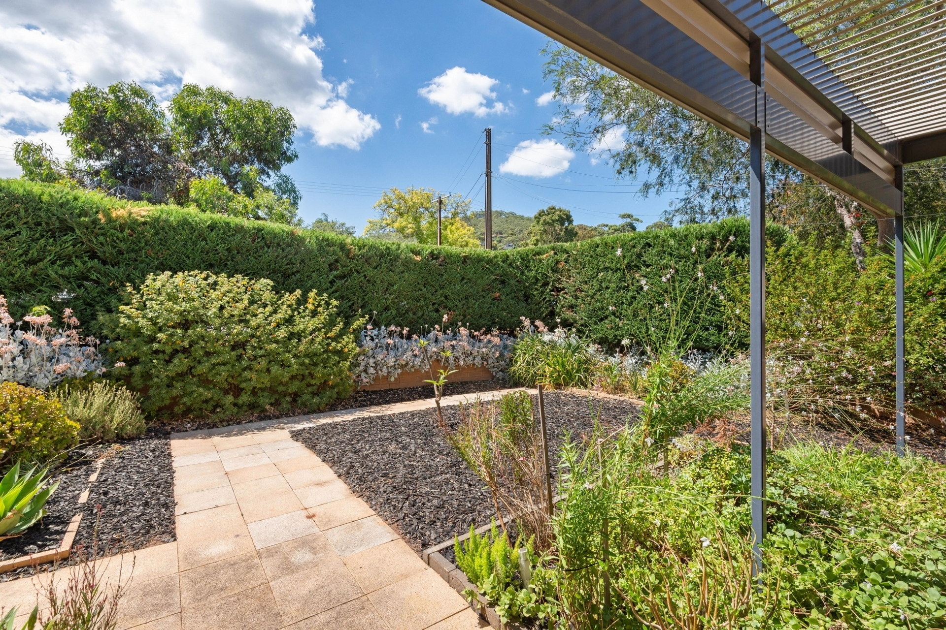 10 Tennant Street, Torrens Park Sold by Booth Real Estate - image 1