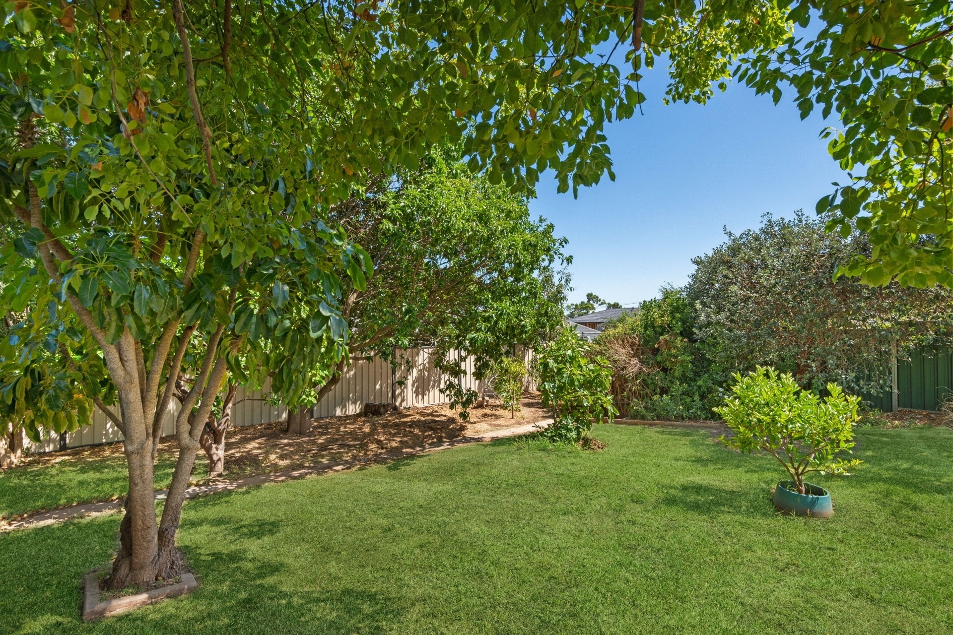 10 Tennant Street, Torrens Park Sold by Booth Real Estate - image 1