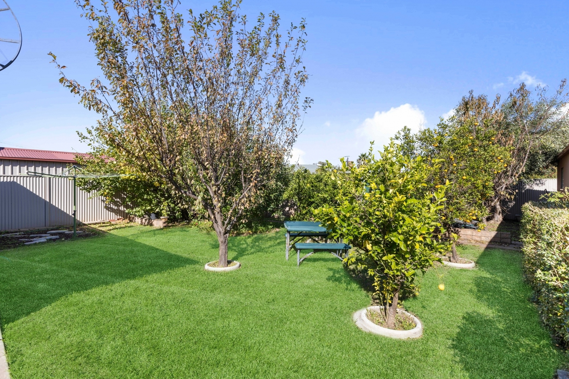 45 Montrose Street, Ferryden Park Sold by Booth Real Estate - image 1