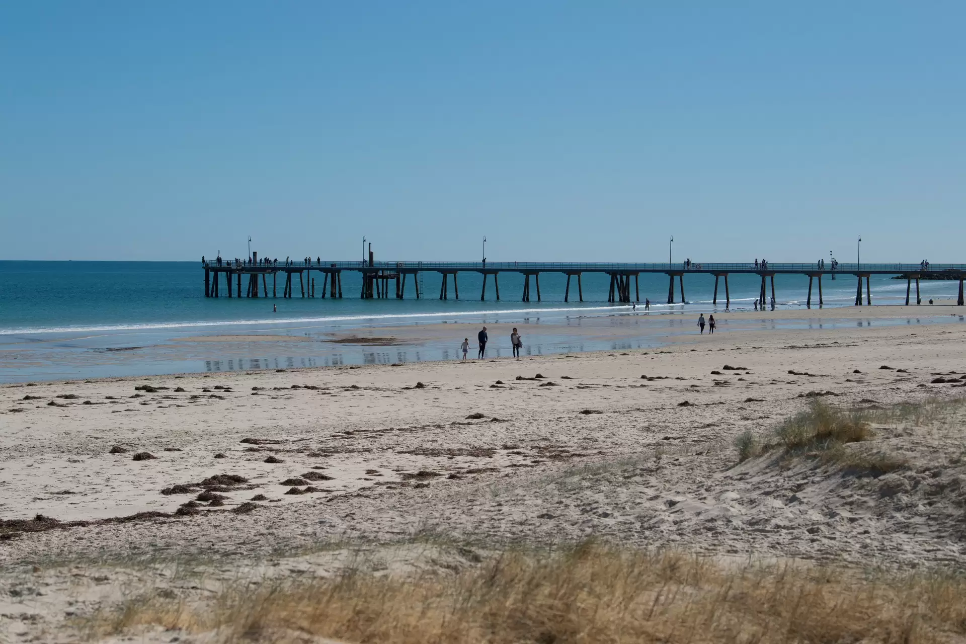 202/19-20 Adelphi Terrace, Glenelg North Sold by Booth Real Estate - image 1